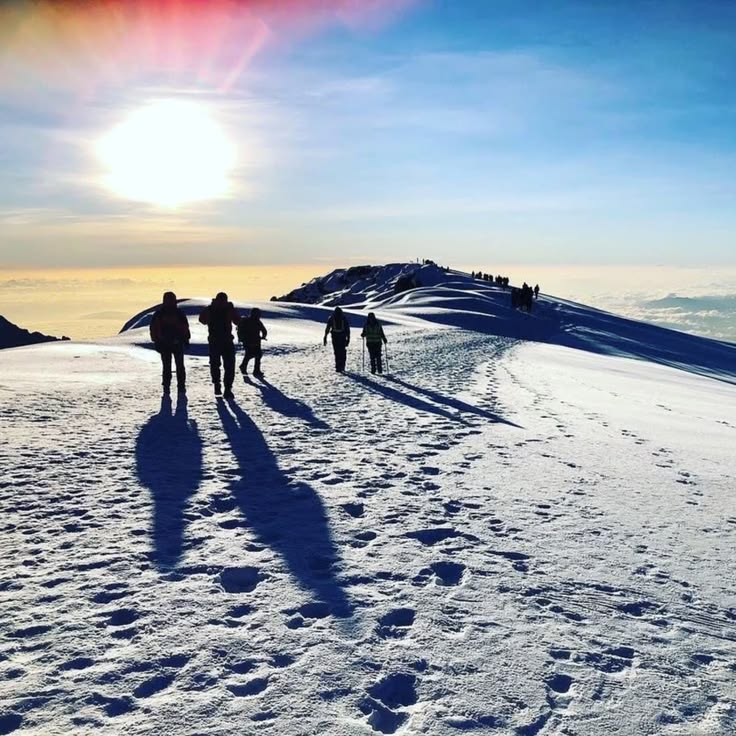 Kilimanjaro